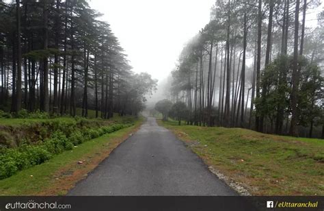 manila resort uttarakhand|Manila Travel Guide Almora .